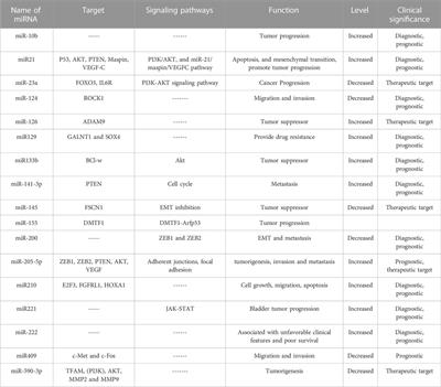 Non-coding RNA and autophagy: Finding novel ways to improve the diagnostic management of bladder cancer